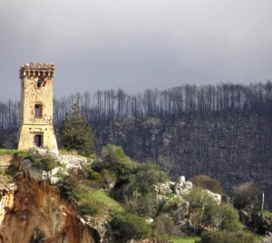 Semplicemente..una torre…