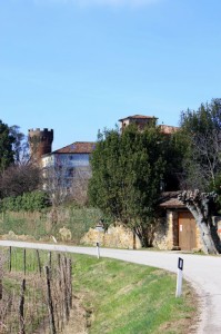 castello di buttrio