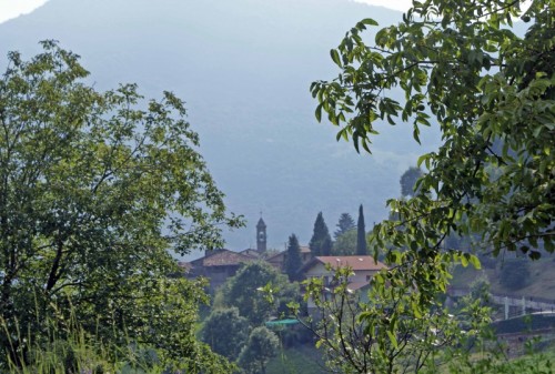 Albino - Dossello Albino - Dossello