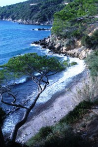 Costa Verde - Viticcio