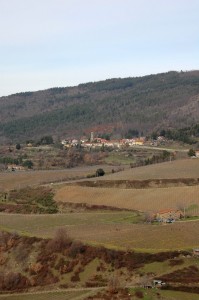 Pomino