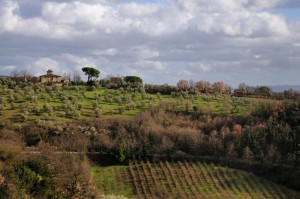 La campagna di S.Casciano