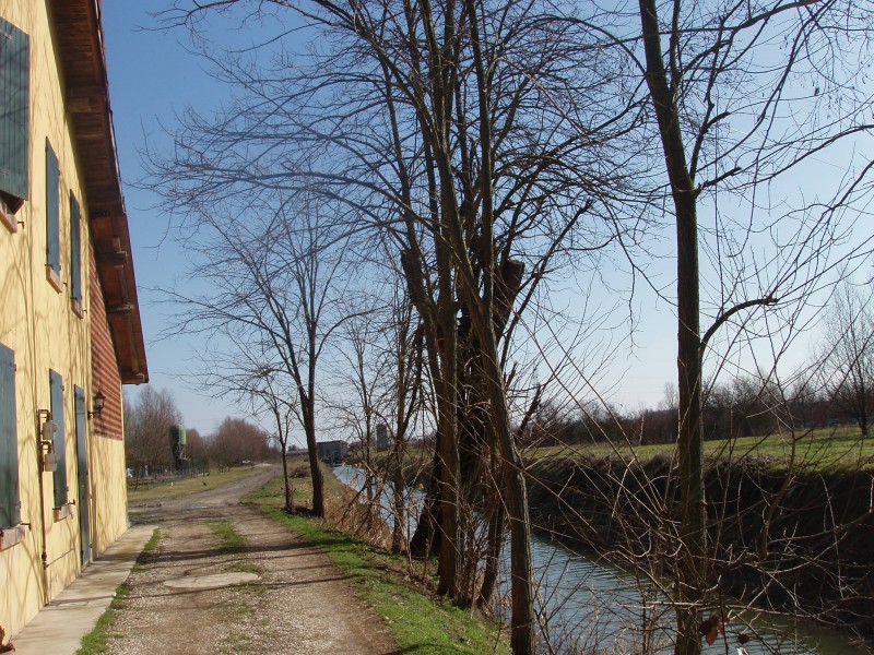 Baricella Grande Baricella!