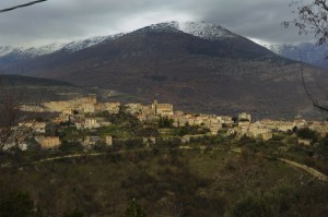 Qui sagra del tartufo