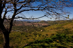 Dalle fronde, Linguaglossa