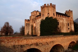 IL CASTELLO DI VALBONA 1
