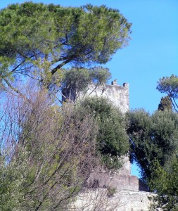 oltre la selva la torre del castello dei marchesi di Roccagiovine