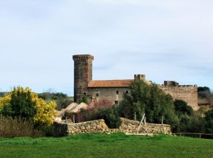 Cara Mimosa, non sfiorire prima del 8 Marzo e tu capra non te la mangiare