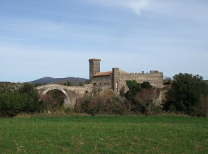 Il castello di Vulci visto dal parco archeologico