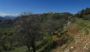 La primavera di Albano