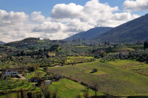 Quarrata - LA bellissima campagna toscana - Montemagno  -Quarrata