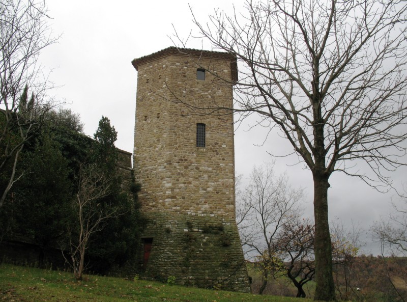 ''La torre che domina la valle del Mutino'' - Frontino