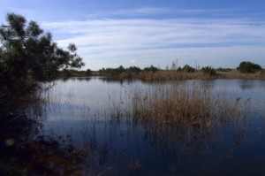 il paradiso può attendere