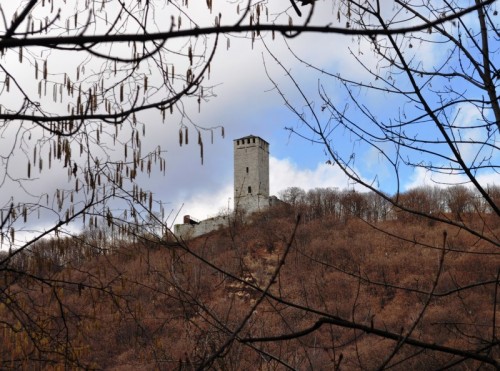 Gozzano - Tra rami e nuvole