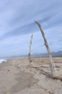 GRIFONDORO vince, dedicata a mario1964