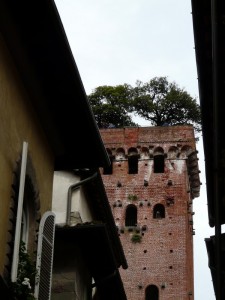 La Torre con l’albero