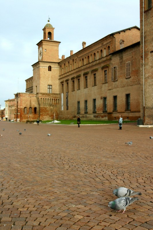 ''Il castello di Carpi e i suoi piccioni'' - Carpi