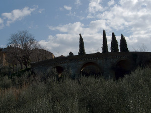 Il ponte tra gli olivi