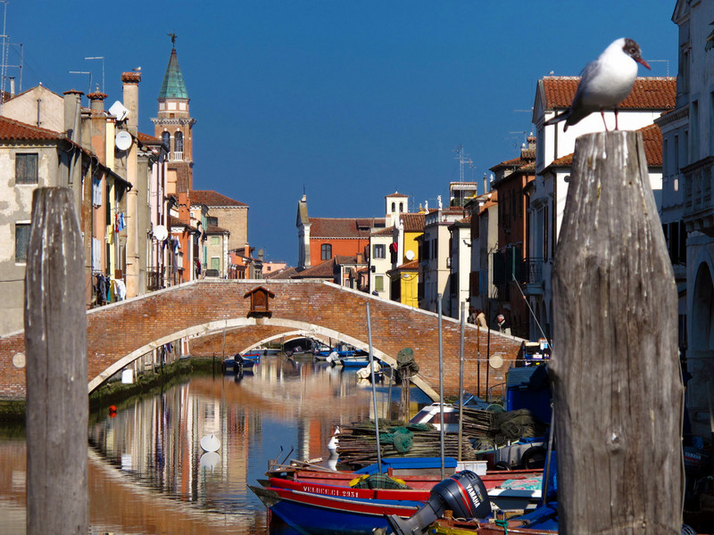 ''colori e ponti'' - Chioggia