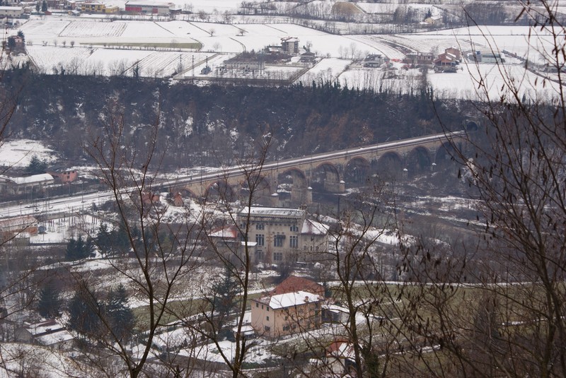 ''Nascosta tra i rami- Ceva'' - Ceva