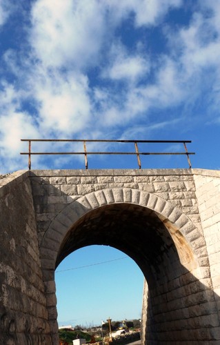 10860-511x800 10860-511x800