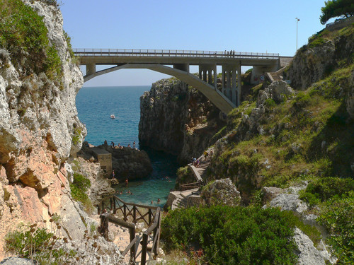 10974-800x600 10974-800x600