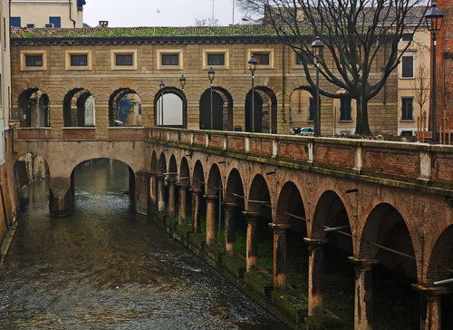 11317-800x583 11317-800x583