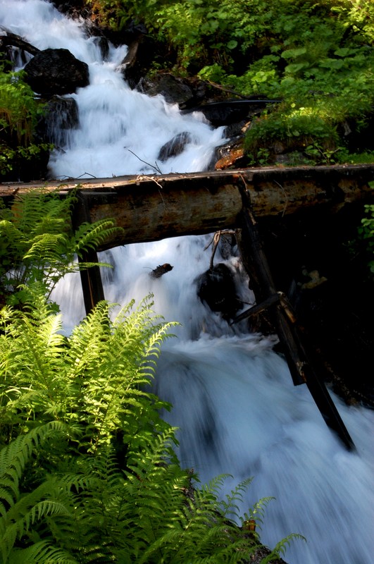 ''Ponticello in legno'' - Brissogne