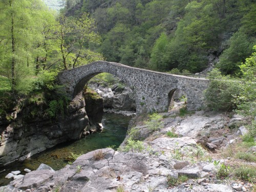 241-800x600 241-800x600