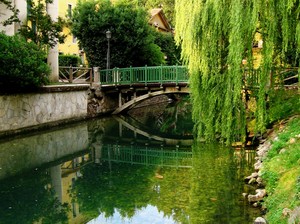 un piccolo ponte del Giardino Salvi