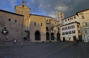Passeggiata in piazza con cane