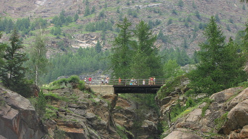 3450-800x450 3450-800x450