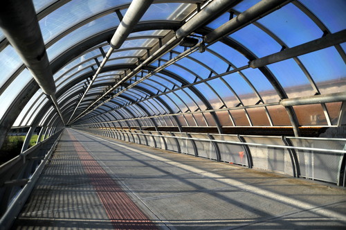 3960-800x532 3960-800x532