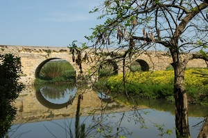 Il Ponte Romano