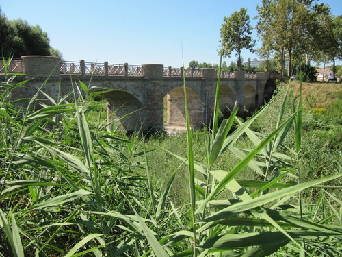 4552-800x600 4552-800x600