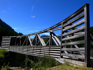 Sei proprio…di ” legno “!