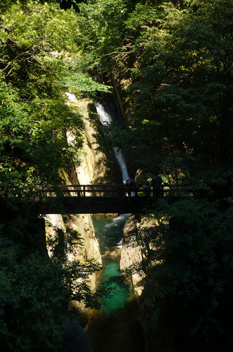 5165-532x800 5165-532x800