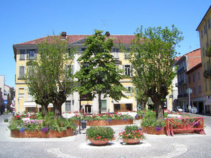 Piazza Marconi fiorita