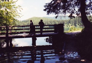 ponte sul lago inferiore di fusine