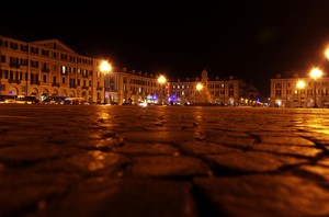 Un fiore di pietra….