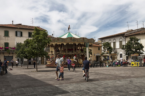 7314-800x533 7314-800x533