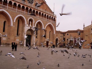 Piazza del Santo – Padova