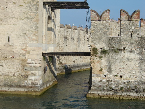 8276-800x600 8276-800x600