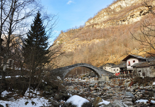 8330-800x550 8330-800x550