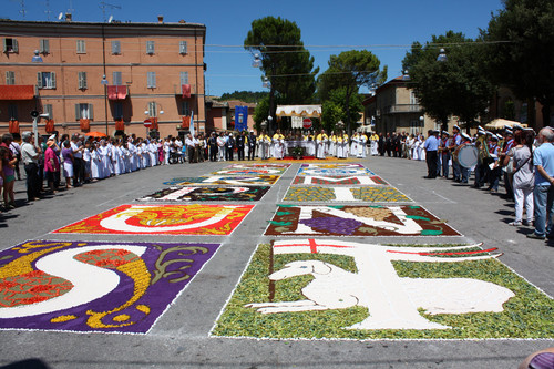 8425-800x533 8425-800x533