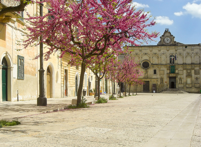 ''Piazzetta in fiore'' - Matera