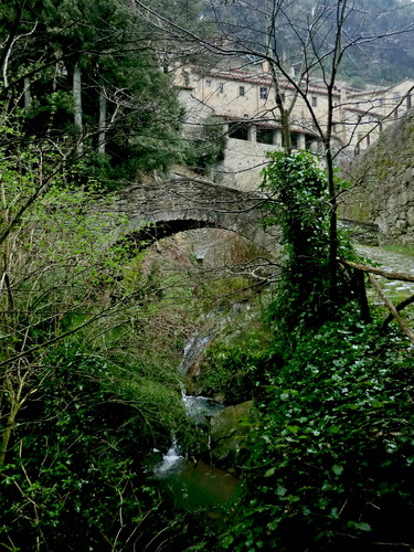 8961-600x800 8961-600x800