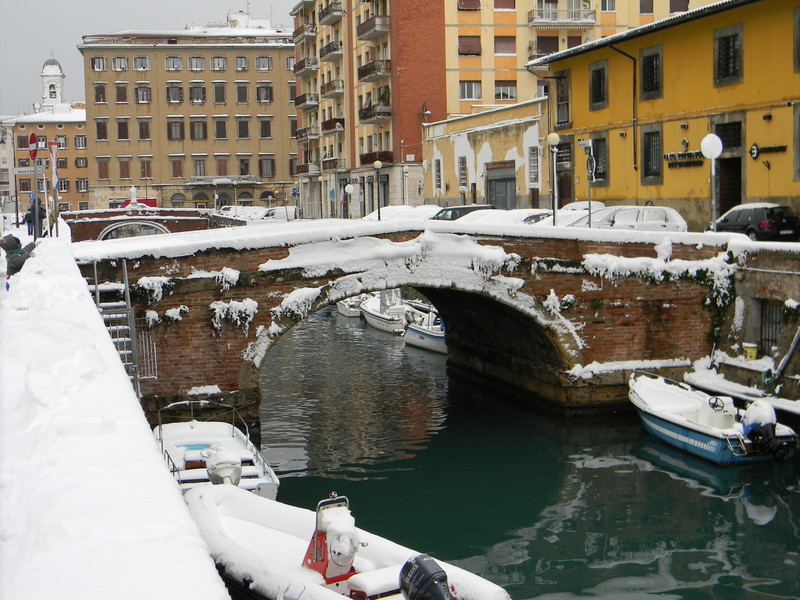 ''Insolita mattina a Livorno'' - Livorno