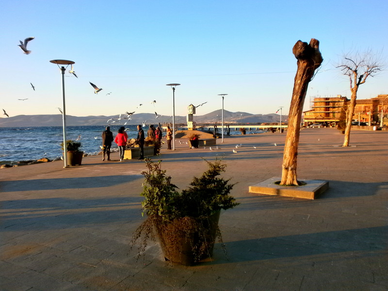 ''gli ultimi voli del giorno'' - Anguillara Sabazia