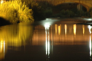 Dalla Passerella al Ponte